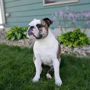 Meet your Posher, Brooke